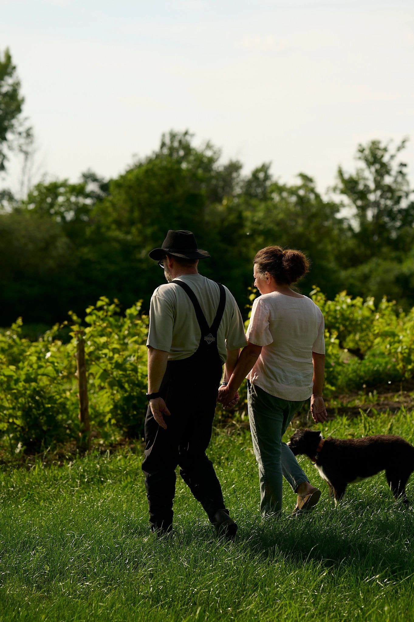 Rassemblement au vignoble