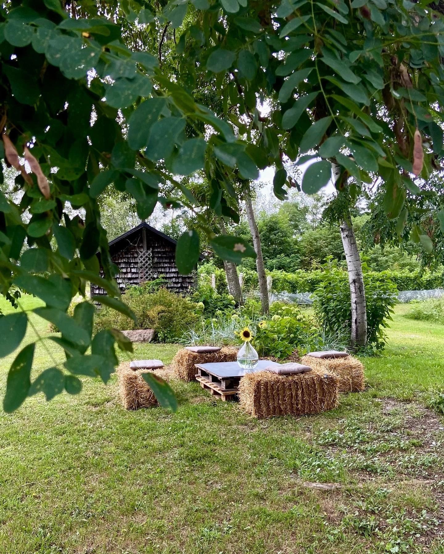 Bouteilles de vin rosé